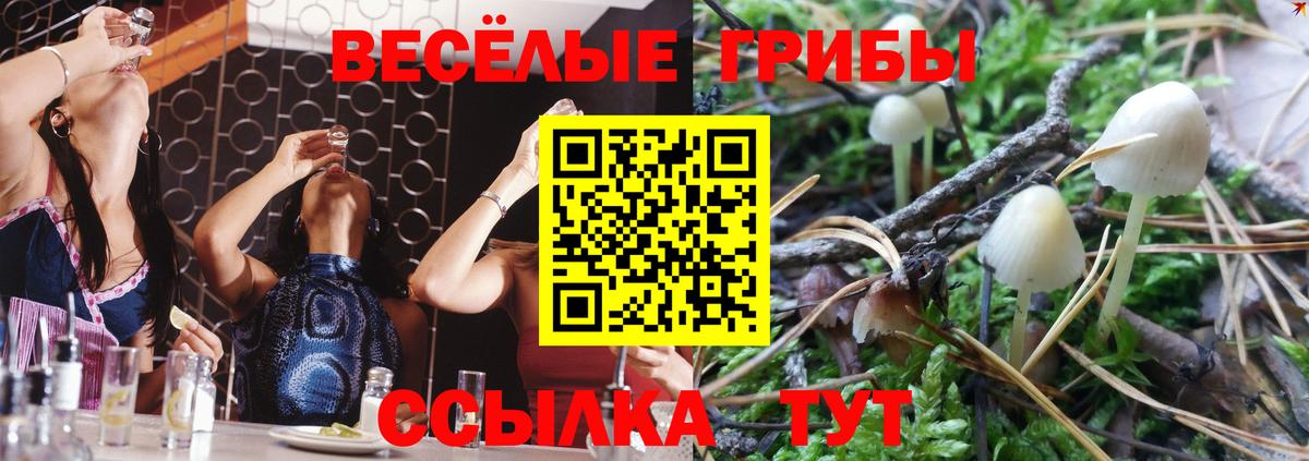 Псилоцибиновые грибы мицелий  Вход с VPN  Артём 
